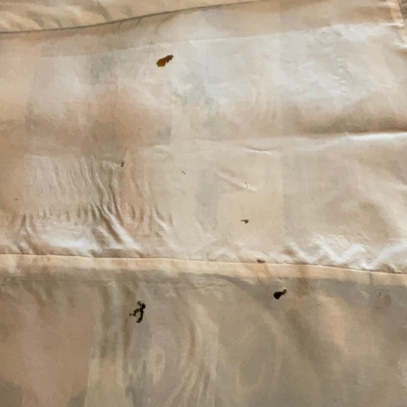 Chinese Sea Dragon long cost - Picture 9 of 11